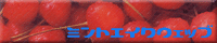 +MINT ACHE WEB+